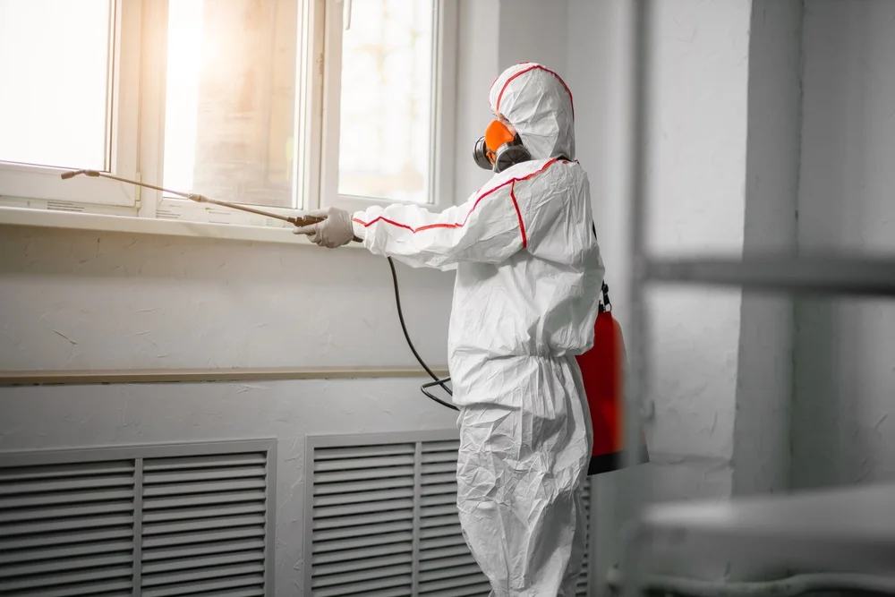 Professional mold remediation services in Rutledge, GA